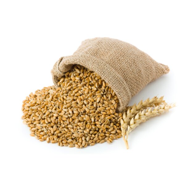 BEERA - Non Alcoholic Beer - Malt - Image 2